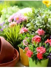 Floriculture Market Analysis Vietnam - Size and Forecast 2024-2028