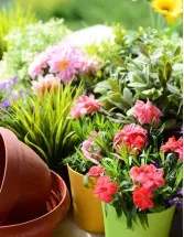 Floriculture Market Analysis Vietnam - Size and Forecast 2024-2028