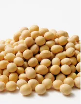 Organic Soy Protein Market Analysis North America, Europe, APAC, South America, Middle East and Africa - US, Germany, UK, China, Japan, Canada, France, India, South Korea, Italy - Size and Forecast 2024-2028