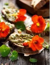 Packaged Edible Flower Market Analysis Europe,North America,APAC,South America,Middle East and Africa - US,Japan,Germany,UK,France - Size and Forecast 2024-2028