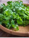 Coriander Oil Market Analysis Europe, North America, APAC, South America, Middle East and Africa - US, France, UK, Japan, China - Size and Forecast 2024-2028