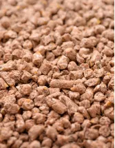 Compound Feed Market Analysis North America, Europe, APAC, South America, Middle East and Africa - US, UK, China, Canada, France - Size and Forecast 2024-2028