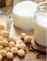 Macadamia Milk Market Analysis North America, Europe, APAC, South America, Middle East and Africa - US, China, Germany, Canada, UK - Size and Forecast 2024-2028