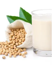 Soy Beverages Market Analysis North America, Europe, APAC, South America, Middle East and Africa - US, UK, Germany, China, Japan - Size and Forecast 2024-2028