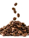 Raw Coffee Beans Market Analysis South America, APAC, Middle East and Africa, North America, Europe - Brazil, Vietnam, Colombia, Indonesia, Ecuador, Ethiopia, Cote dIvoire, Peru, Nigeria, Cameroon - Size and Forecast 2025-2029