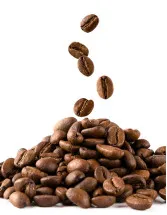 Raw Coffee Beans Market Analysis South America, APAC, Middle East and Africa, North America, Europe - Brazil, Vietnam, Colombia, Indonesia, Ecuador, Ethiopia, Cote dIvoire, Peru, Nigeria, Cameroon - Size and Forecast 2025-2029