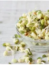 Packaged Sprouts Market Analysis APAC, Europe, North America, Middle East and Africa, South America - China, Japan, US, UK, Germany - Size and Forecast 2024-2028