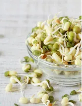 Packaged Sprouts Market Analysis APAC, Europe, North America, Middle East and Africa, South America - China, Japan, US, UK, Germany - Size and Forecast 2024-2028