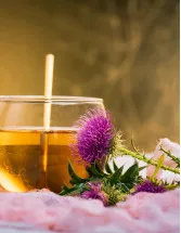 Milk Thistle Products Market - Forecast and Analysis 2022-2026