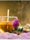 Milk Thistle Products Market Analysis Europe, North America, APAC, South America, Middle East and Africa - Germany, US, Italy, China, UK - Size and Forecast 2024-2028