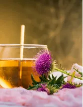 Milk Thistle Products Market Analysis Europe, North America, APAC, South America, Middle East and Africa - Germany, US, Italy, China, UK - Size and Forecast 2024-2028