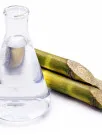 Biofuel From Sugar Crops Market Analysis South America, APAC, North America, Europe, Middle East and Africa - Brazil, India, US, China, France - Size and Forecast 2024-2028
