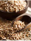 Spelt Market Analysis Europe, North America, APAC, South America, Middle East and Africa - US, Germany, UK, China, Canada, France, Italy, Japan, India, South Korea - Size and Forecast 2024-2028