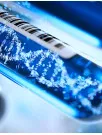 Pharmacogenomics Market by End-user and Geography - Forecast and Analysis 2022-2026