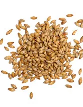 Malted Barley Market Analysis Europe, APAC, North America, Middle East and Africa, South America - Russia, France, Germany, Canada, Australia - Size and Forecast 2024-2028