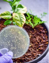 Agricultural Microbials Market Analysis North America, Europe, APAC, South America, Middle East and Africa - US, Germany, France, China, Spain - Size and Forecast 2024-2028