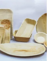 Disposable Plates Market Analysis APAC, North America, Europe, South America, Middle East and Africa - US, China, India, Germany, UK - Size and Forecast 2024-2028