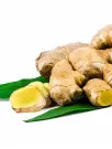 Ginger Market Analysis APAC, Middle East and Africa, Europe, North America, South America - India, Nigeria, Nepal, China, Indonesia - Size and Forecast 2024-2028