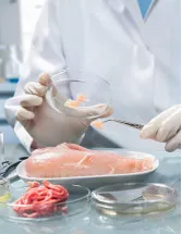 Food Pathogen Testing Market Analysis North America, Europe, Asia, Rest of World (ROW) - US, Germany, China, Japan, India - Size and Forecast 2024-2028