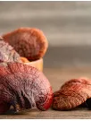 Reishi Mushroom Market Analysis APAC, North America, Europe, South America, Middle East and Africa - China, US, Japan, Germany, India - Size and Forecast 2024-2028