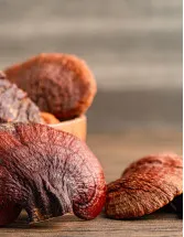 Reishi Mushroom Market Analysis APAC, North America, Europe, South America, Middle East and Africa - China, US, Japan, Germany, India - Size and Forecast 2024-2028