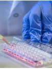 Lateral Flow Assay Components Market Analysis North America, Europe, Asia, Rest of World (ROW) - US, Germany, UK, China, Canada - Size and Forecast 2024-2028