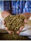 Ruminant Feed Market Analysis APAC, Europe, North America, South America, Middle East and Africa - China, US, Russia, Brazil, Spain - Size and Forecast 2024-2028