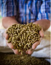 Ruminant Feed Market Analysis APAC, Europe, North America, South America, Middle East and Africa - China, US, Russia, Brazil, Spain - Size and Forecast 2024-2028