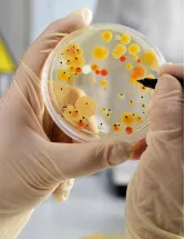Agar Market Analysis Europe, North America, APAC, Middle East and Africa, South America - US, China, Germany, UK, France - Size and Forecast 2024-2028