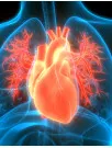 Cardiac Biomarkers Market Analysis North America, Europe, Asia, Rest of World (ROW) - US, Germany, China, UK, India - Size and Forecast 2024-2028