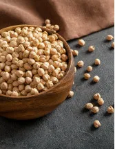 Pea Starch Market Analysis APAC, North America, Europe, South America, Middle East and Africa - US, China, Germany, India, France - Size and Forecast 2024-2028