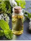 Mentha Oil Market Analysis APAC, North America, Europe, Middle East and Africa, South America - India, US, Japan, China, Germany, Canada, France, Italy, Spain, Brazil - Size and Forecast 2025-2029