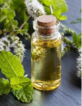 Mentha Oil Market Analysis APAC, North America, Europe, Middle East and Africa, South America - India, US, Japan, China, Germany, Canada, France, Italy, Spain, Brazil - Size and Forecast 2025-2029