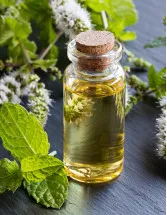 Mentha Oil Market Analysis APAC, North America, Europe, Middle East and Africa, South America - India, China, Brazil, US, Japan - Size and Forecast 2024-2028