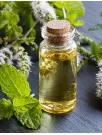 Mentha Oil Market Analysis APAC, North America, Europe, Middle East and Africa, South America - India, China, Brazil, US, Japan - Size and Forecast 2024-2028