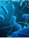 Clostridium Diagnostics Market Analysis North America, Europe, Asia, Rest of World (ROW) - US, Germany, UK, China, Canada - Size and Forecast 2024-2028