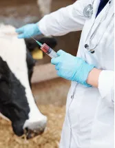 Veterinary Artificial Insemination Market Analysis North America, Europe, Asia, Rest of World (ROW) - US, China, India, Germany, Canada - Size and Forecast 2024-2028