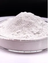 Succinic Acid Market Analysis Europe, North America, APAC, South America, Middle East and Africa - US, Germany, China, Italy, Canada - Size and Forecast 2024-2028