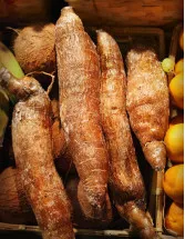Cassava Market by Application, Type, and Geography - Forecast and Analysis 2023-2027