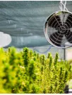 Agricultural Ventilation Fans Market Analysis APAC, North America, Europe, Middle East and Africa, South America - US, China, India, Germany, France - Size and Forecast 2024-2028