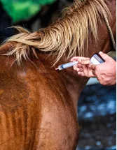Equine Healthcare Market Analysis North America, Europe, Asia, Rest of World (ROW) - US, China, Mexico, UK, Germany - Size and Forecast 2024-2028