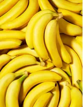 Banana Market Analysis North America, Europe, APAC, South America, Middle East and Africa - US, UK, Germany, Canada, Japan - Size and Forecast 2024-2028