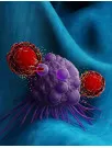 Car T-Cell Therapy Market Analysis North America, Europe, Asia, Rest of World (ROW) - US, UK, China, Canada, Japan, Germany, France, India, Italy, South Korea - Size and Forecast 2025-2029