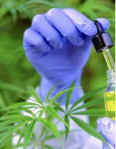 Cannabinoids Market Analysis North America, Europe, APAC, South America, Middle East and Africa - US, Canada, The Netherlands, Australia, Germany - Size and Forecast 2024-2028