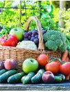 Fruits And Vegetables Market Analysis Venezuela - Size and Forecast 2024-2028