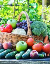 Venezuela Fruits and Vegetables Market by Product and Distribution Channel - Forecast and Analysis 2023-2027