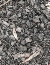 Biochar Market Analysis US - Size and Forecast 2024-2028