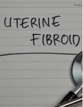 Uterine Fibroid (UF) Treatment Device Market Analysis North America, Europe, Asia, Rest of World (ROW) - US, Japan, Germany, China, Canada - Size and Forecast 2024-2028