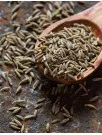 Caraway Seeds Market Analysis APAC, Europe, North America, South America, Middle East and Africa - China, US, Germany, India, France - Size and Forecast 2024-2028