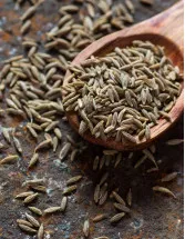 Caraway Seeds Market Analysis APAC, Europe, North America, South America, Middle East and Africa - China, US, Germany, India, France - Size and Forecast 2024-2028